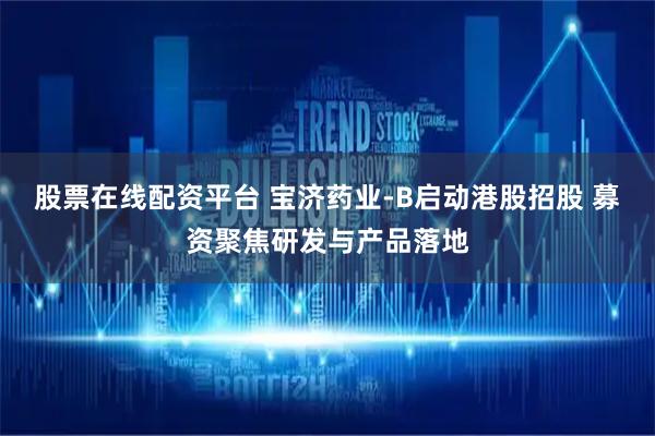 股票在线配资平台 宝济药业-B启动港股招股 募资聚焦研发与产品落地