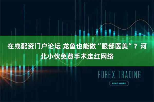 在线配资门户论坛 龙鱼也能做“眼部医美”？河北小伙免费手术走红网络